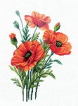 (image for) Poppy Flowers